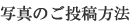 �ʐ^�̂����e���@
