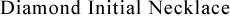 �_�C�������h�C�j�V�����l�b�N���X