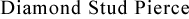 �_�C�������h�E�s�A�X