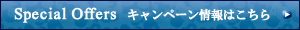 �L�����y�[�����͂�����