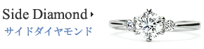�T�C�h�E�_�C�������h