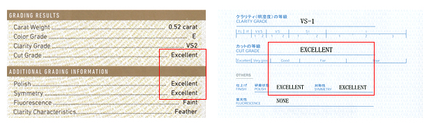 トリプルエクセレントの記載例